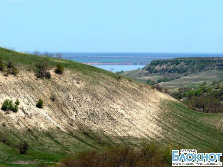 Камышин присвоил себе земли природного парка