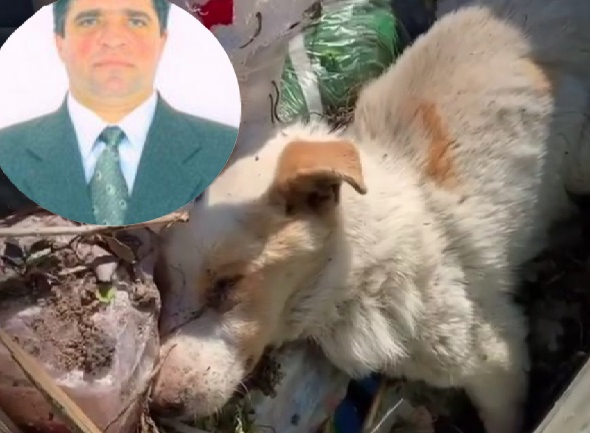 Умирающую собаку выбросили на мусорку: под Волгоградом чиновника-единоросса обвинили в жестоком обращении с животными