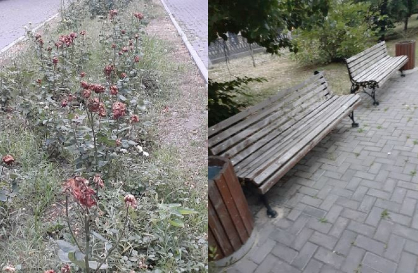 Отремонтировать убогий бульвар в центре города пообещала мэрия Волгограда
