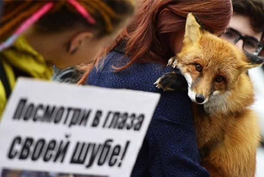 Акция против убийства ради пафоса прошла в центре Волгограда