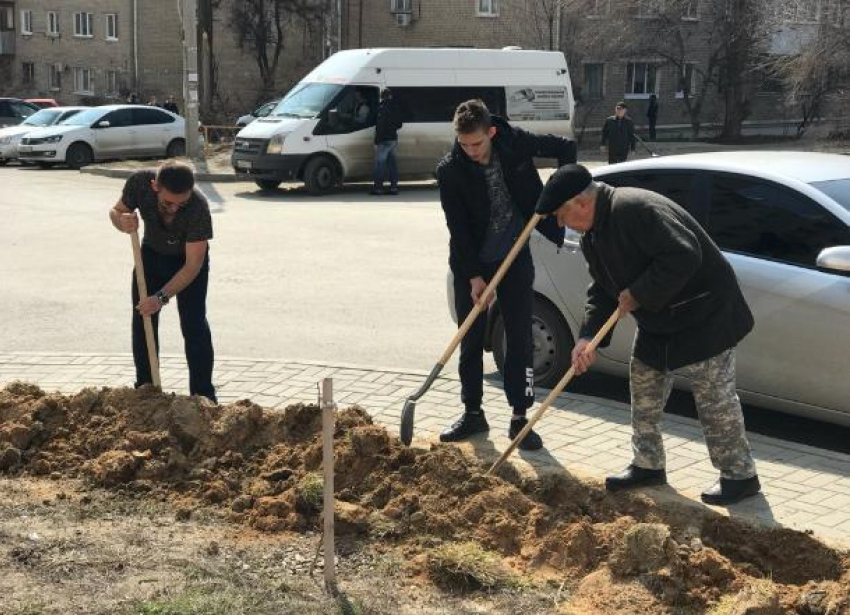 Жители жилого комплекса в Волгограде не стали дожидаться действий УК и облагородили двор сами