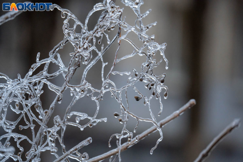 Заморозки до -3 объявили в Волгоградской области