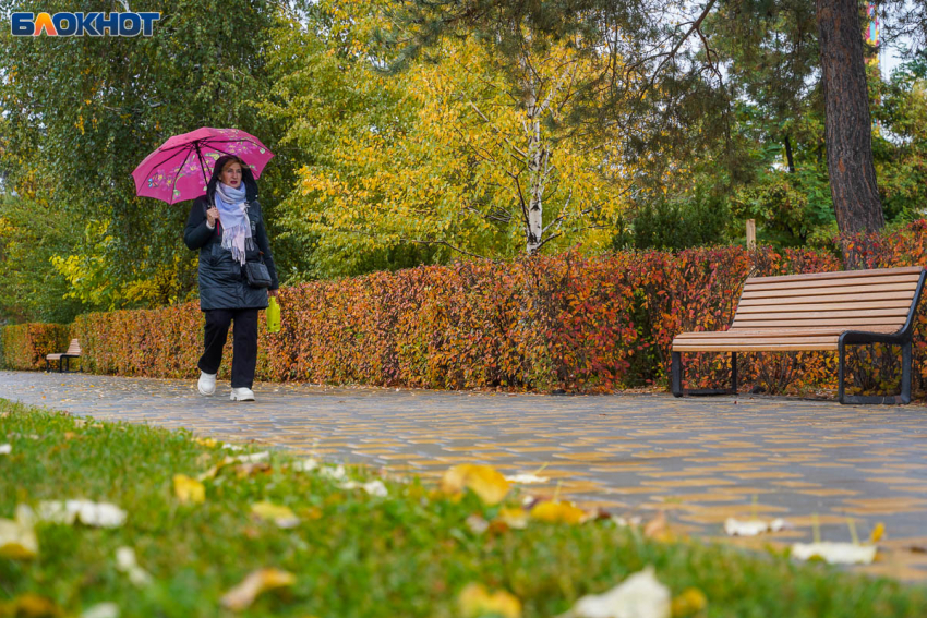 Теплом до +15 порадует волгоградцев солнечно-рыжее воскресенье