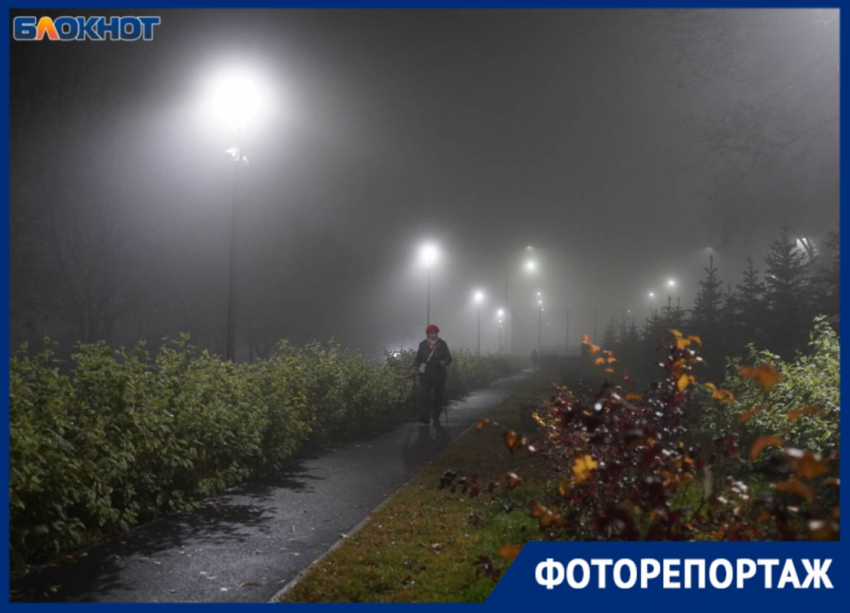 Неоновая готика: 35 фото невиданно плотного тумана в Волгограде