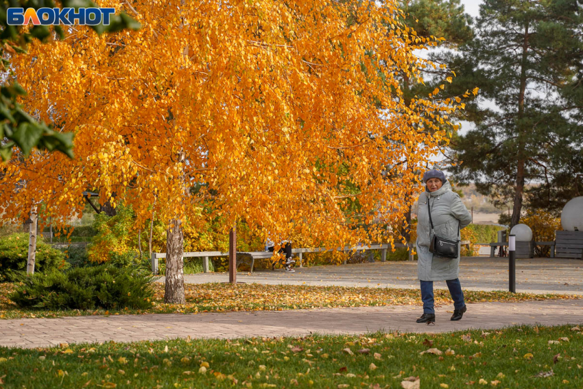 Сегодня не прекратится: дождь на сутки зарядил в Волгограде
