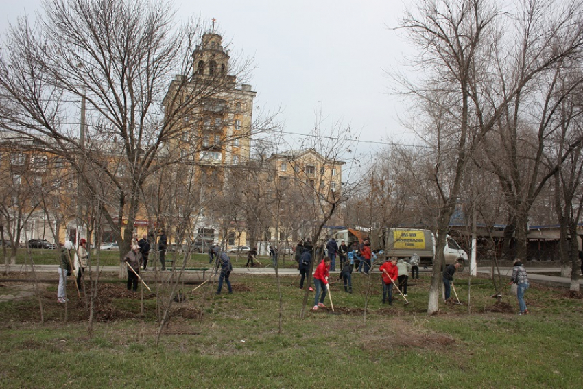 Вместо коммунальщиков уборкой мусора и высадкой деревьев в Волгограде занимаются горожане