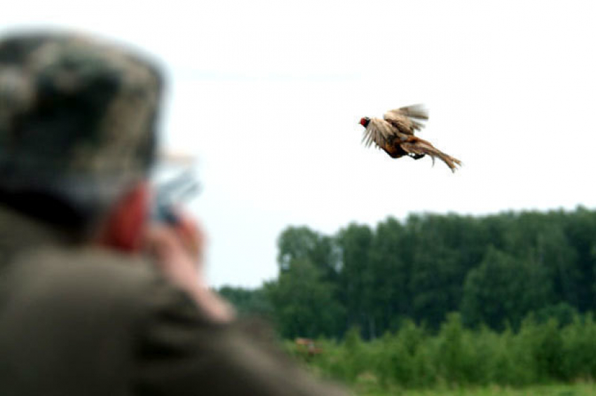 В Волгоградской области стартует сезон охоты на пернатых