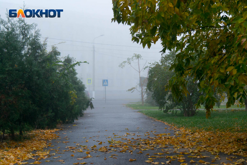 В Волгограде последнее воскресенье сентября будет ветреным и дождливым