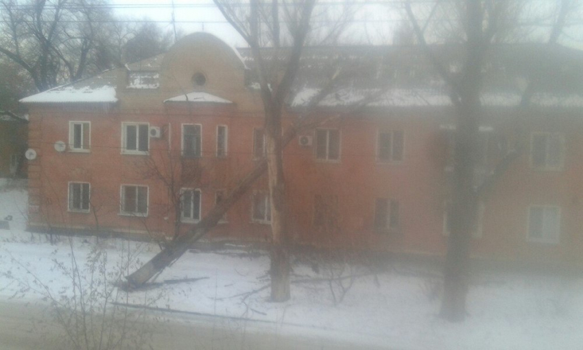 В Волгограде из-за сильного ветра деревья рухнули на дом и автомобиль 