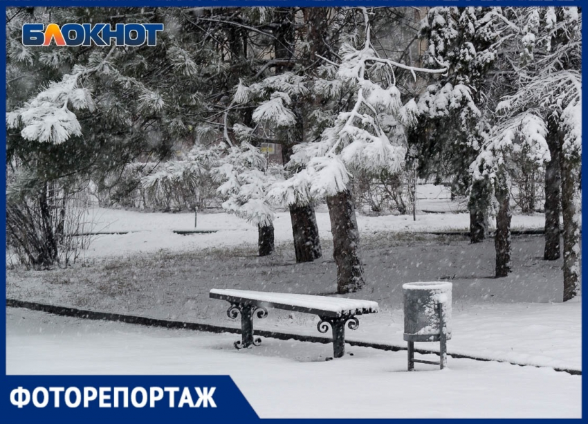 Заснеженный Волгоград в объективе фотографа