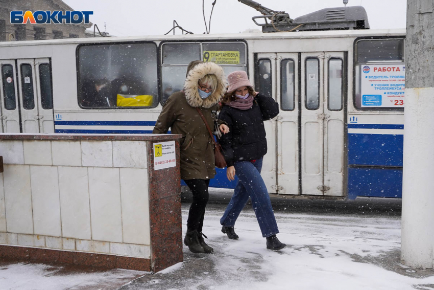 «К концу года закроют все маршрутки»: волгоградцы собрались к Путину спасать гортранспорт