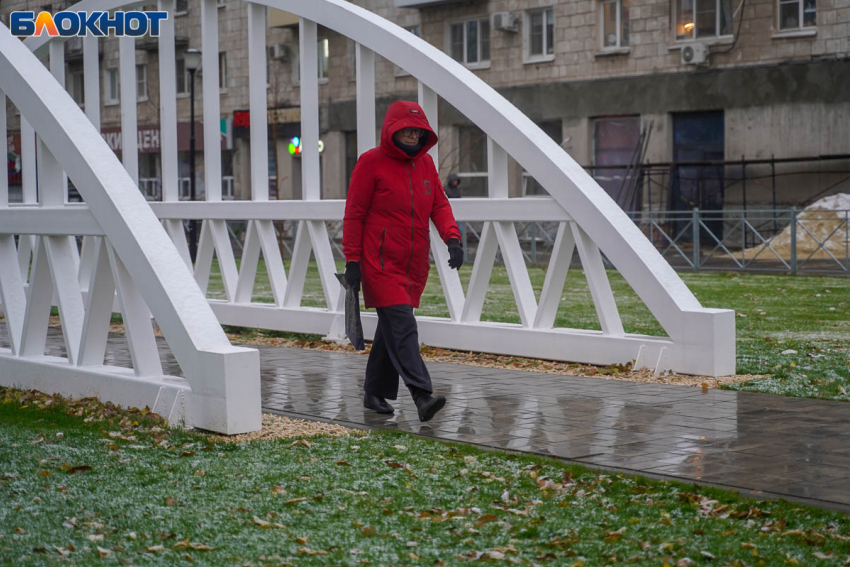 Предзаморозки придут впервые с начала сезона в Волгоград 