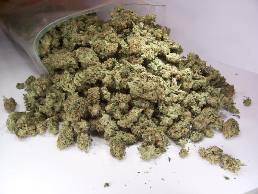 32-летний волжанин хранил дома для себя килограмм марихуаны ﻿