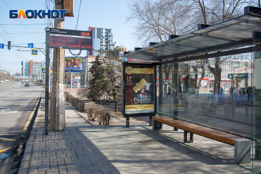 Жалобы на гонку автобусов №21 в Волгограде обернулись служебной проверкой