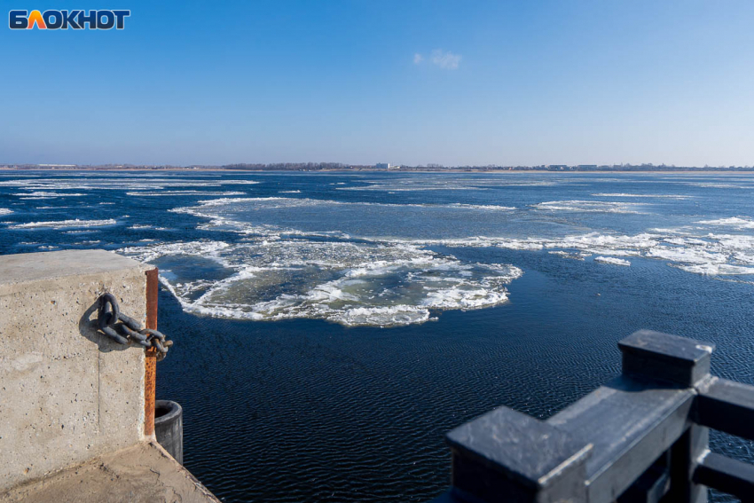 В Волгограде увеличили число рейсов речных трамвайчиков