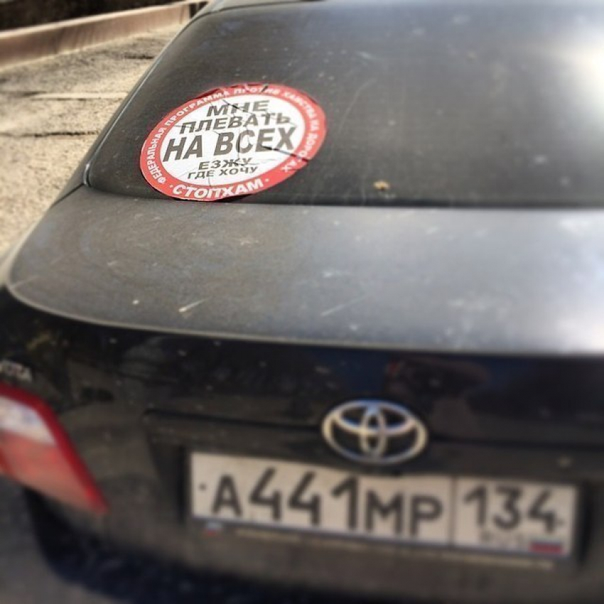 Одиозная организация «СтопХам» ликвидирована по решению суда