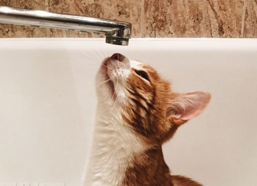 Стало известно, по каким адресам на следующей неделе не будет горячей воды в Волгограде