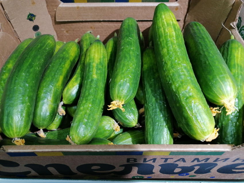 Прогноз Госдумы по ценам сбылся в волгоградских магазинах