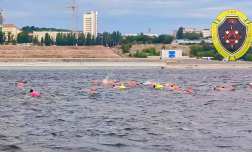 Десятки смельчаков устроили массовый заплыв через Волгу в Волгограде