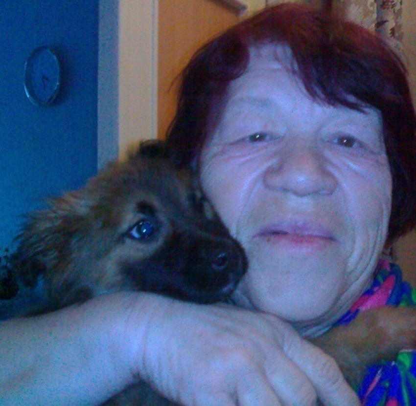 78-летняя жительница Волгограда ищет помощника для прогулок с любимой собакой 