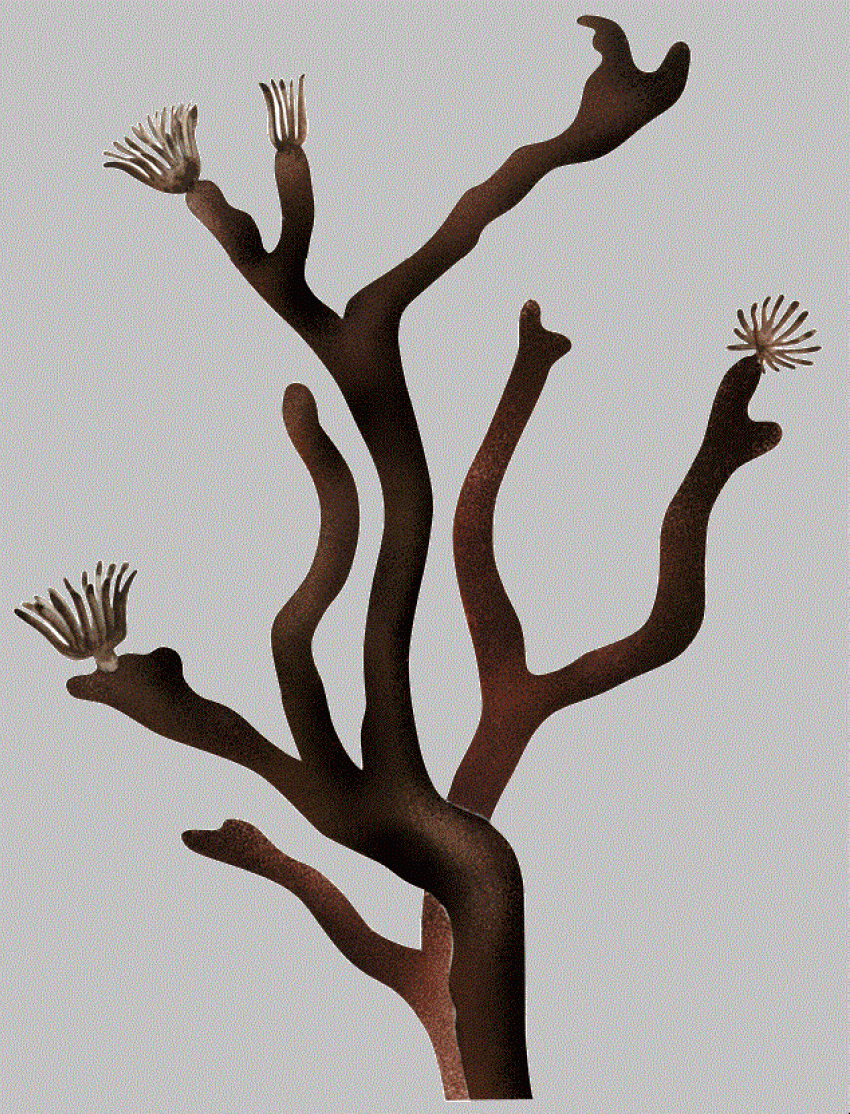 В Красной книге региона стало на одно животное меньше