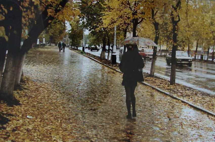 В выходные в Волгограде будет жара и дожди с грозами