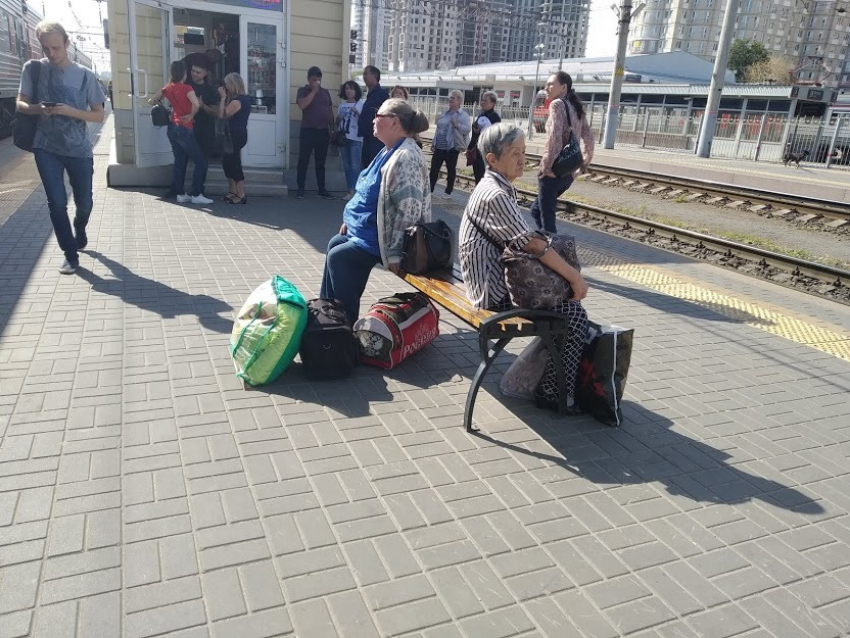 Пенсий не будет: волгоградцам советуют копить деньги и искать денежную работу 