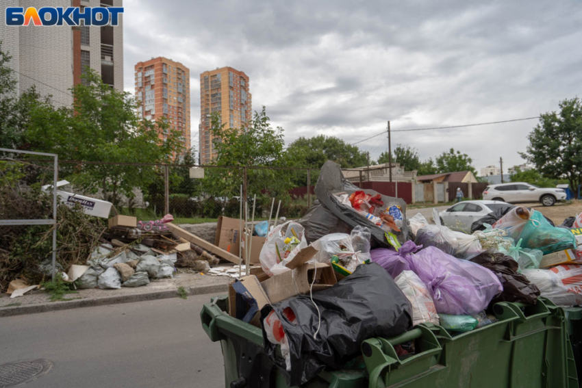 Зарплатой 150 тысяч в месяц заманивают водителей мусоровозов в Волгограде