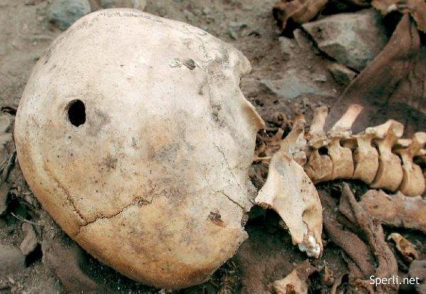 Под Волгоградом обнаружены человеческие останки
