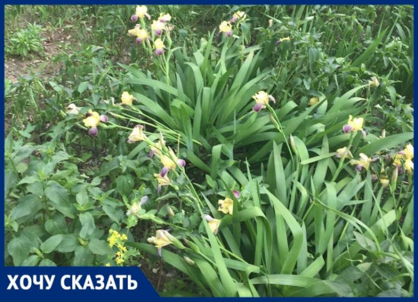 В Великом Новгороде благоустраивают двор на Ломоносова, 36