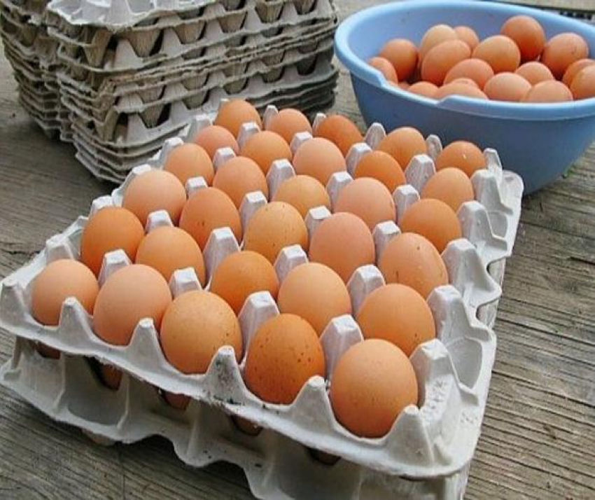 Волгоградцы гордятся яйцами