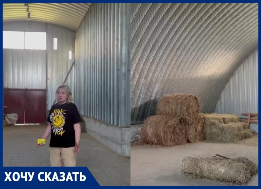 «Мы просто погибнем»: об острой нехватке сена заявил конный клуб под Волгоградом