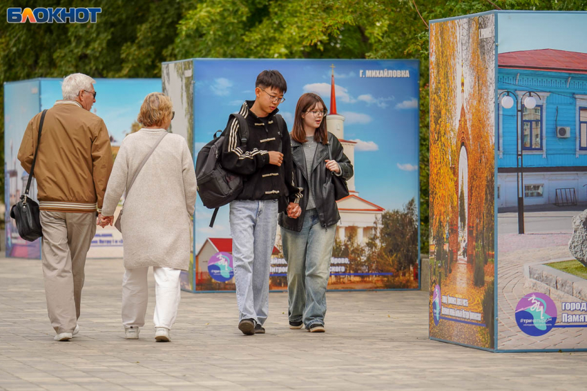 Джонго и милые пушистики: ради чего стоит побывать в центре Волгограда 7 сентября