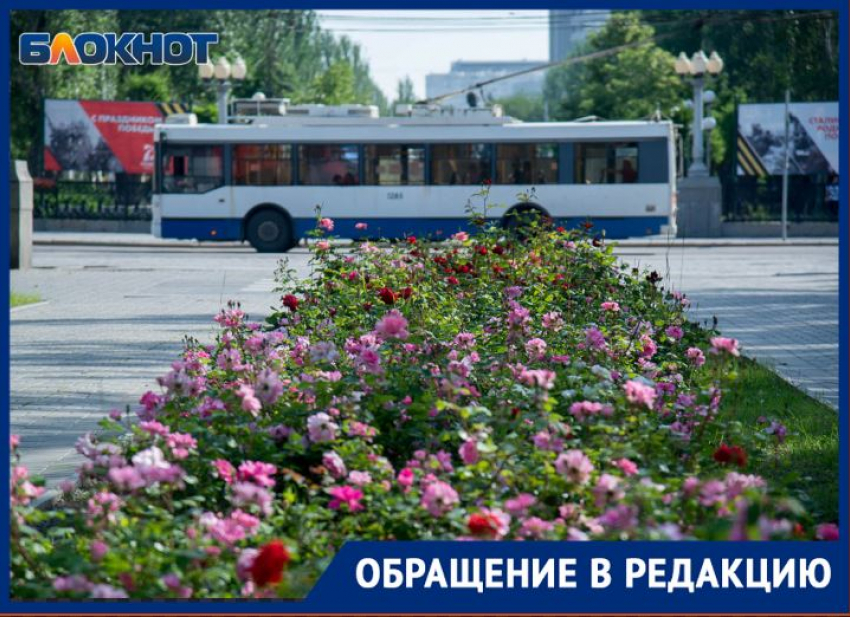 Перебои с пополнением транспортной карты «Волна» возникли в Волгограде