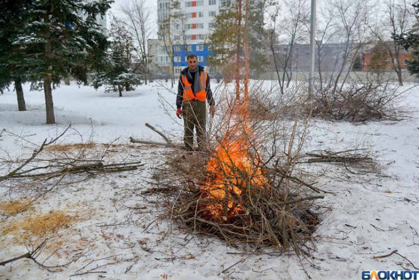 В центре Волгограда в парке жгут деревья