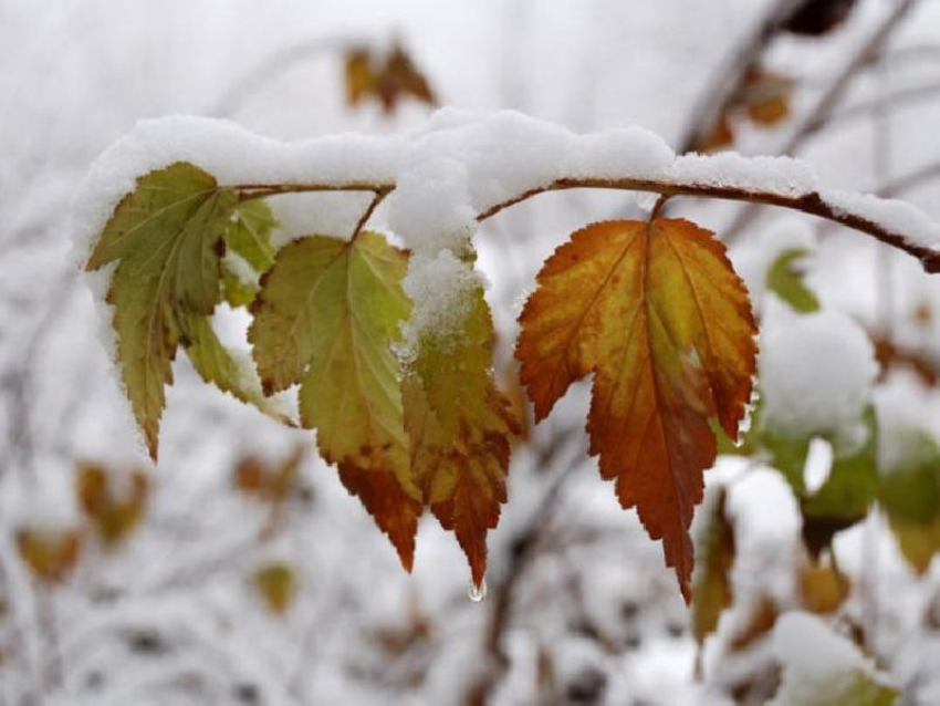 В Волгоградскую область надвигаются дождь со снегом