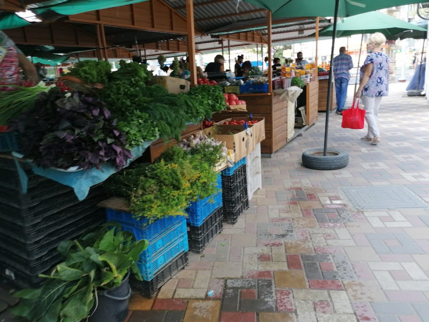 Волгоградский фермер назвал две настоящие причины диких цен и плохого качества продуктов