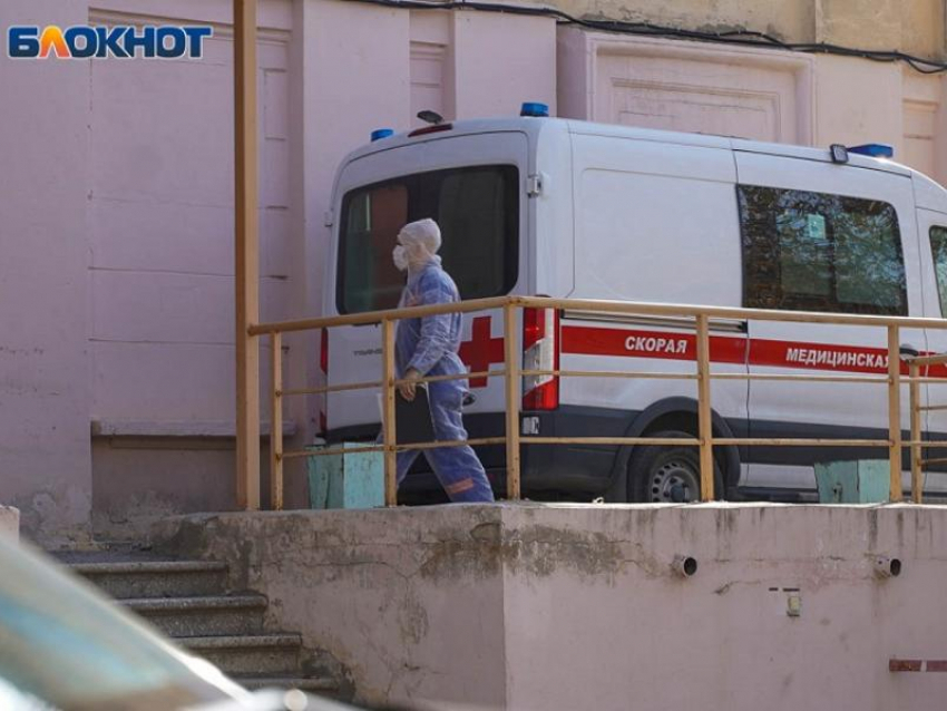 Вместо сосудистого центра – инфекционка: волонтеру волгоградского приюта пришлось спасать отца
