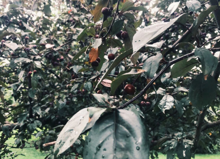 Как набраться сил перед волгоградской осенью