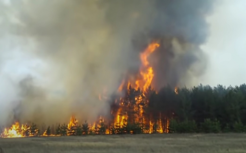 В Волгоградской области борются с лесными пожарами