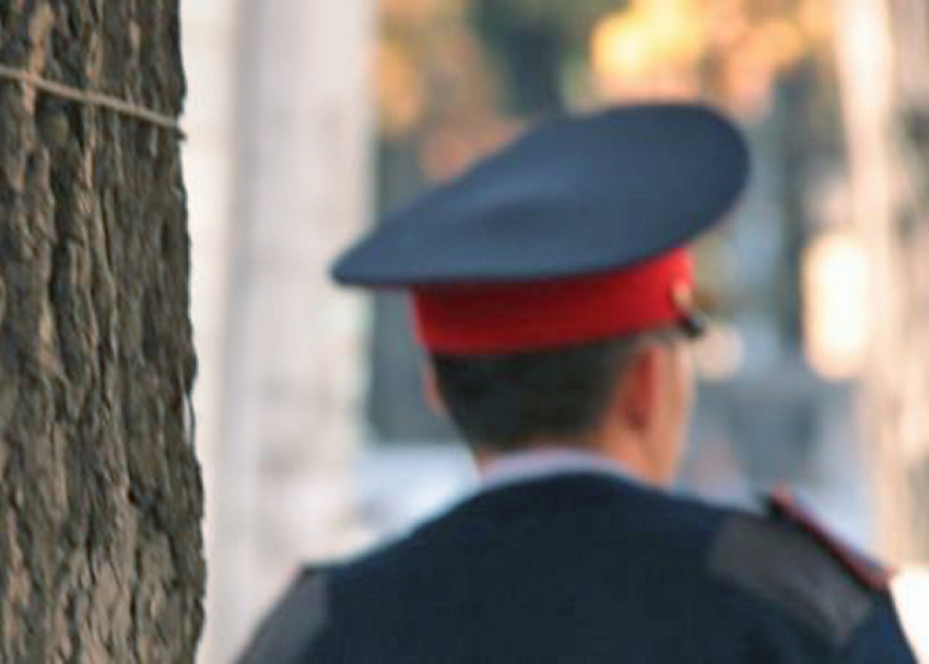 Под Волгоградом селянин из-за замечания избил полицейского
