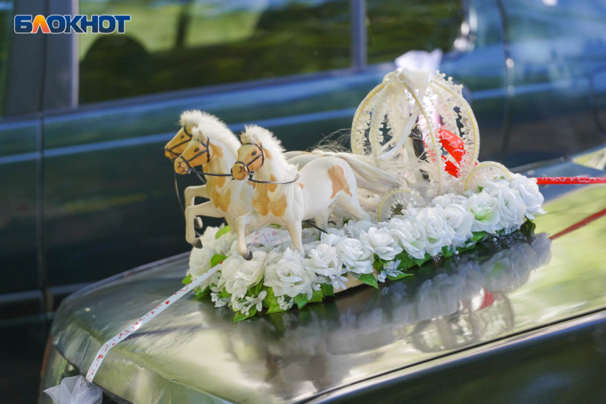 Волгоградка фиктивно вышла замуж за иностранца ради гражданства 