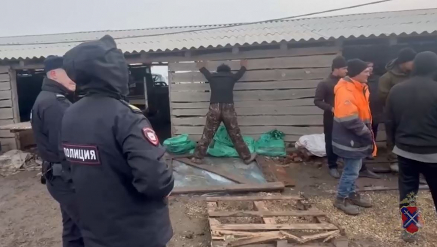 Массовая облава с дронами на мигрантов прошла в волгоградских теплицах