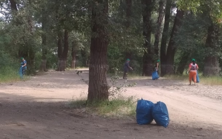 С Волго-Ахтубинской поймы волгоградцы вывезли 100 мешков мусора
