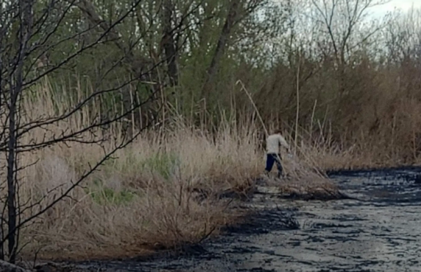 В 167 млн оценили ущерб от извержения нефти в Волгоградской области 