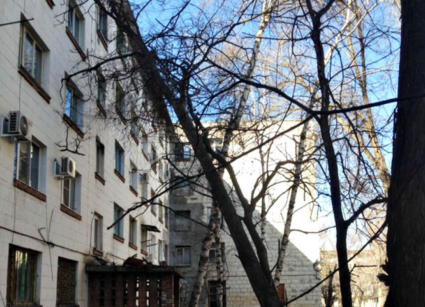 Управляющая компания «ЖЭК» три дня не убирает упавшее на дом дерево в Волгограде