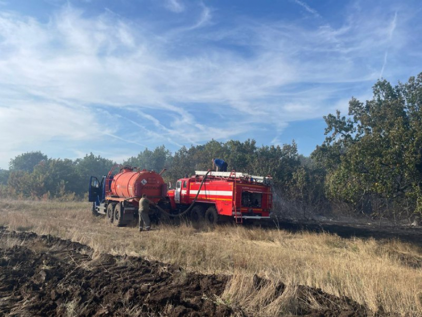 Под Волгоградом спасли от сильного пожара 40 Га леса 