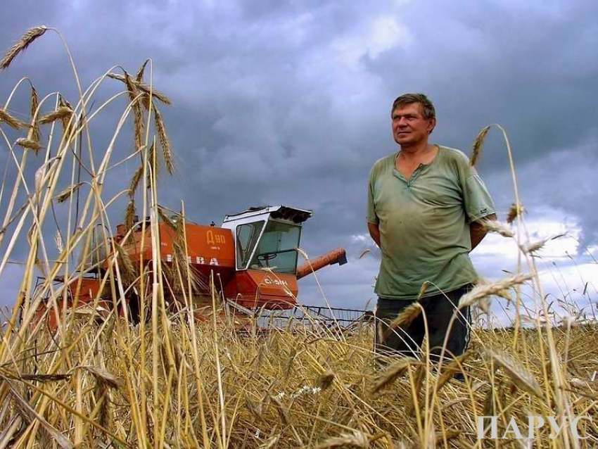 Зарплата волгоградских аграриев выросла на 17%