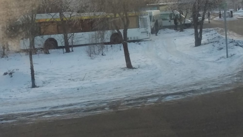 Новый автобус №35 протаранил дерево возле Больничного комплекса в Волгограде