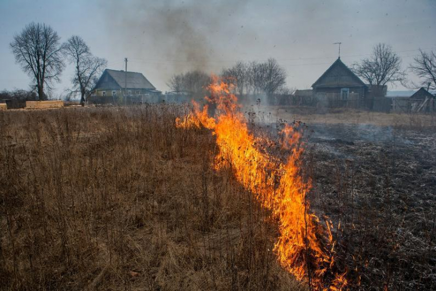 Волгоградская область охвачена природными пожарами